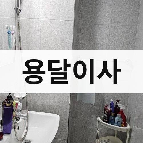 경남 서부 용달이사 포장이사