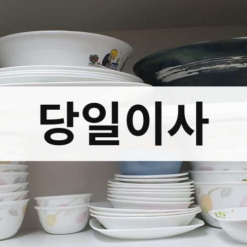 경남 서부 당일이사 포장이사